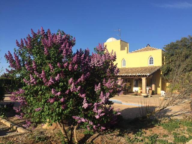 Casa rural para 10 personas, con Terraza y Jardín además de Piscina y Vistas en Pozo Alcón - 4