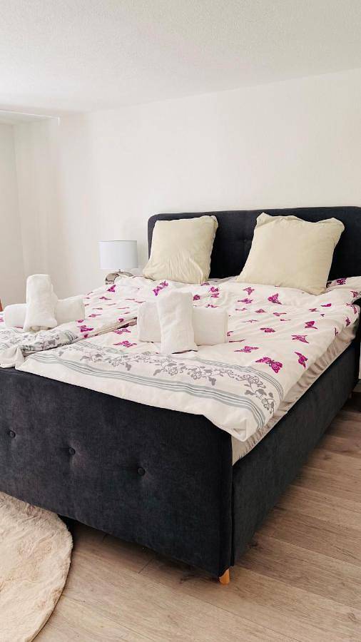 Ferienwohnung für 4 Personen, mit Balkon in St. Gallen - 2