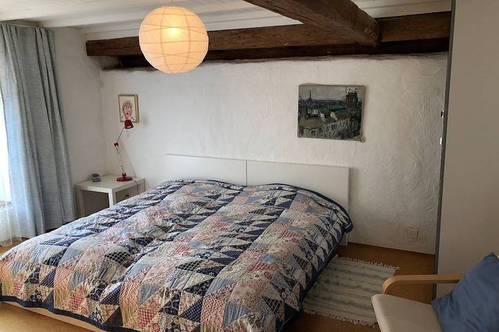 Ganze Wohnung, Große Ferienwohnung, wo sich nicht nur Schwalben (Hirundos) zu Hause fühlen in Rekingen, Aargau-Basel