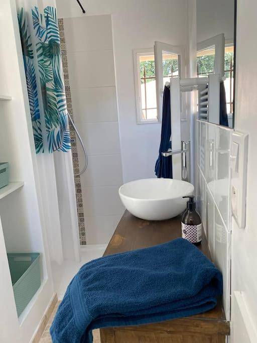 Location de vacances pour 3 personnes, avec jacuzzi et jardin dans Abbaye de Saint Michel de Frigolet