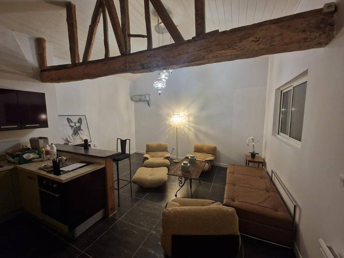 Location de vacances pour 4 personnes, avec jardin et terrasse ainsi que piscine et jacuzzi à Cintegabelle - 4