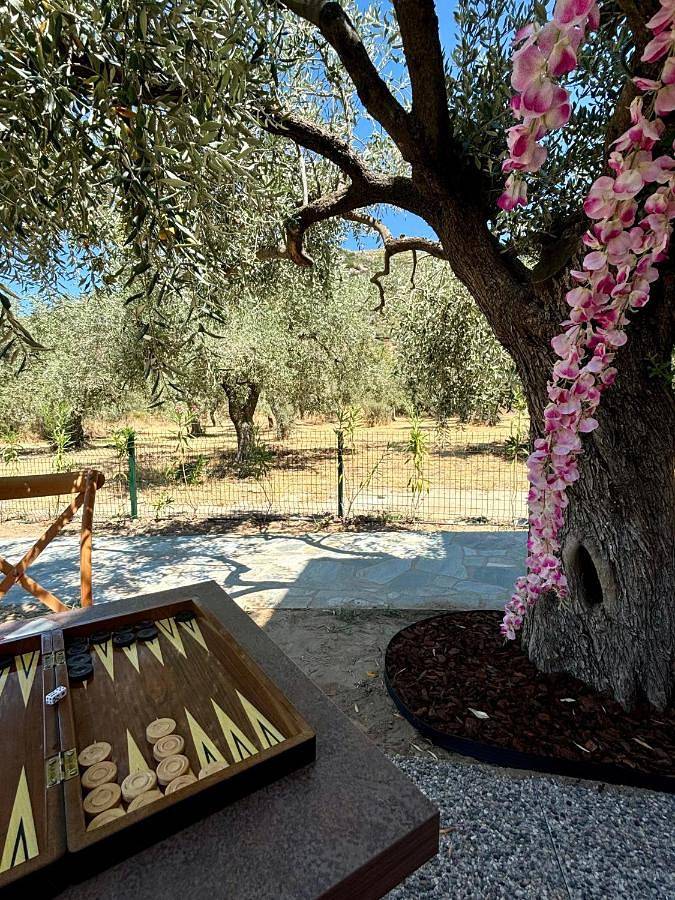 Deluxe Double Room in Prinos, Thassos