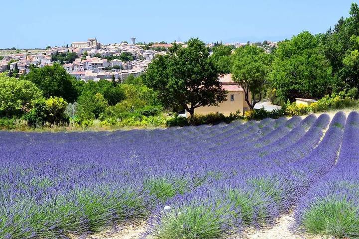 Location de vacances pour 6 personnes, avec sauna ainsi que terrasse et piscine à Valensole