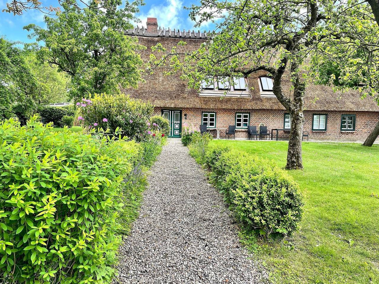 Ganze Wohnung, Süd - Kamin, Duschbad, Terrasse, Pkw-Stellplatz, strandnah, kinderfreundlich in Hasselberg, Schleswig-Flensburg