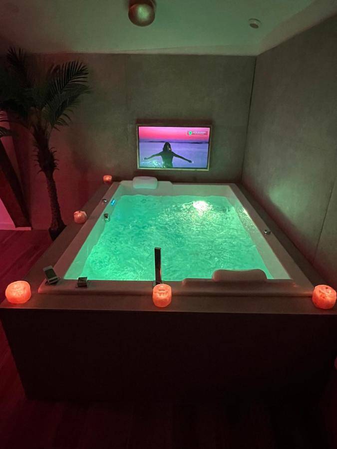 Gîte pour 2 personnes, avec terrasse ainsi que jardin et jacuzzi à Vienne (Isère) - 4