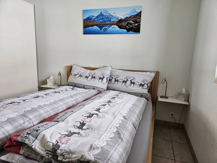 Ganze Wohnung, Boimenzüün 2 Bett Wohnung in Schwendi b. Grindelwald, Grindelwald