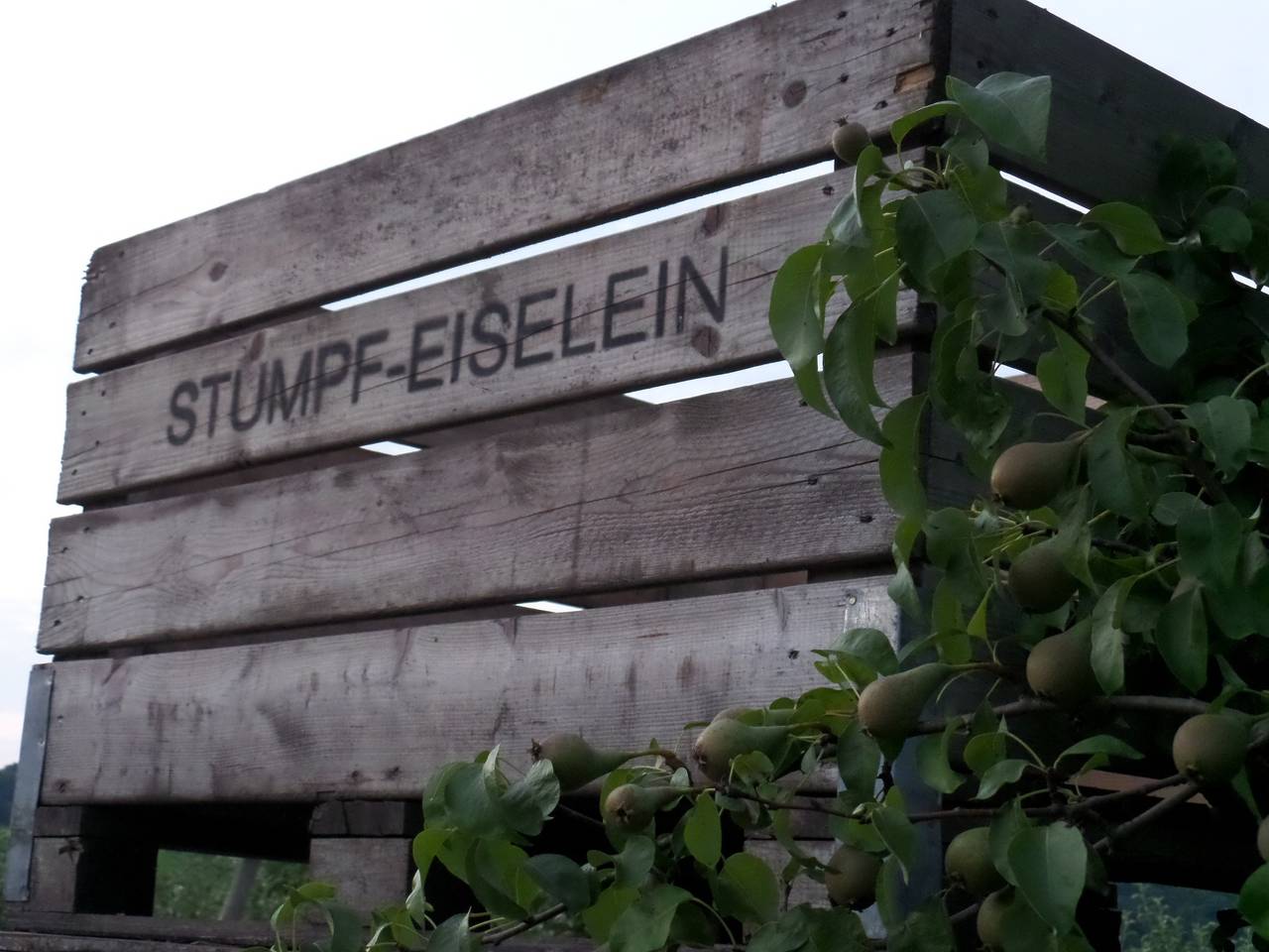 Gästehaus Stumpf-Eiselein - Hofgut Reute - 3-Zimmer-Fewo, 1. Et., 78 m² in Radolfzell am Bodensee, Landkreis Konstanz