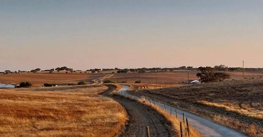 Location de vacances pour 4 personnes, avec terrasse et jardin, animaux acceptés dans Ourique - 2