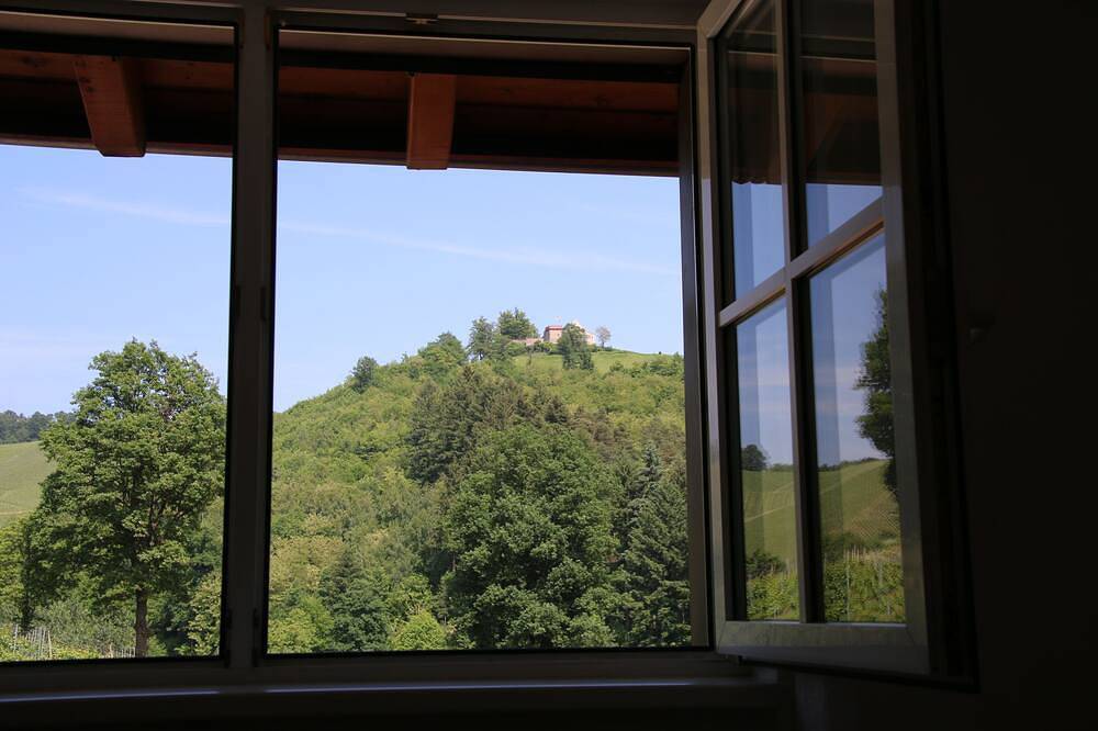 Ganze Wohnung, Übernachten im Weingut Neveu - Schlossblick in Durbach, Mittlerer Schwarzwald