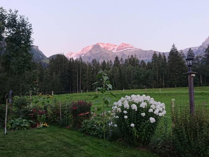 Apartamento entero, Trachsel-Huus in Lenk im Simmental, Lenk