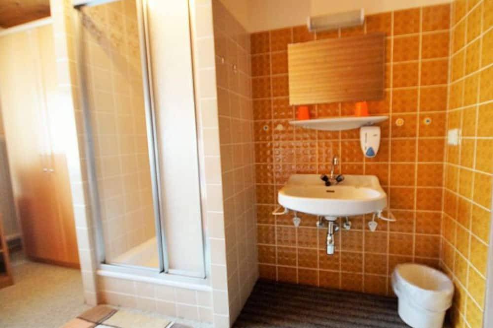 Sparerzimmer Normal - Zur Landeroith Gmbh in Weyregg am Attersee, Bezirk Vöcklabruck