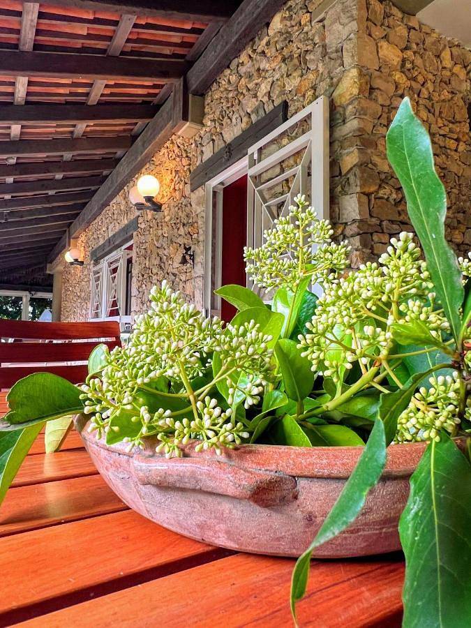 Villa with Private Pool in Praia A Mare Taranto, Taranto