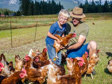 Bauernhof für 4 Personen in Leutasch, Österreichische Alpen, Bild 2