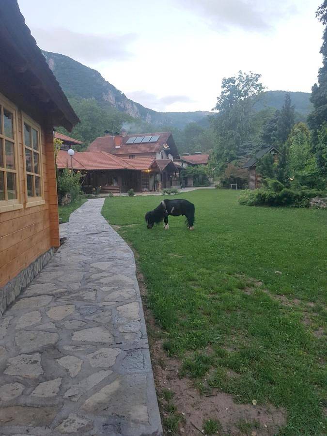 Location de vacances pour 3 personnes, avec balcon et jardin ainsi que vue et piscine à Despotovac - 3