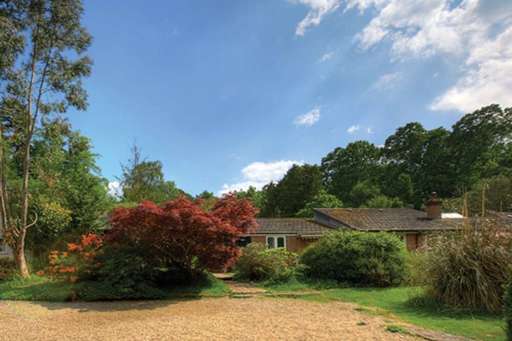 Large cottage Amazing location! Family group or friends up to 24 people! in Brockenhurst, Hampshire