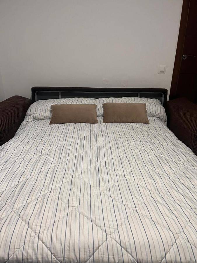 Gîte pour 4 personnes, animaux acceptés à Bornos - 3