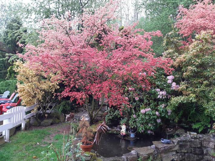 Gîte pour 3 personnes, avec Jardin à Ban-de-Sapt