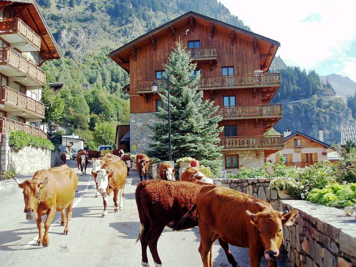 Gîte pour 14 personnes, avec vue et balcon/terrasse à Champagny-en-Vanoise - 3