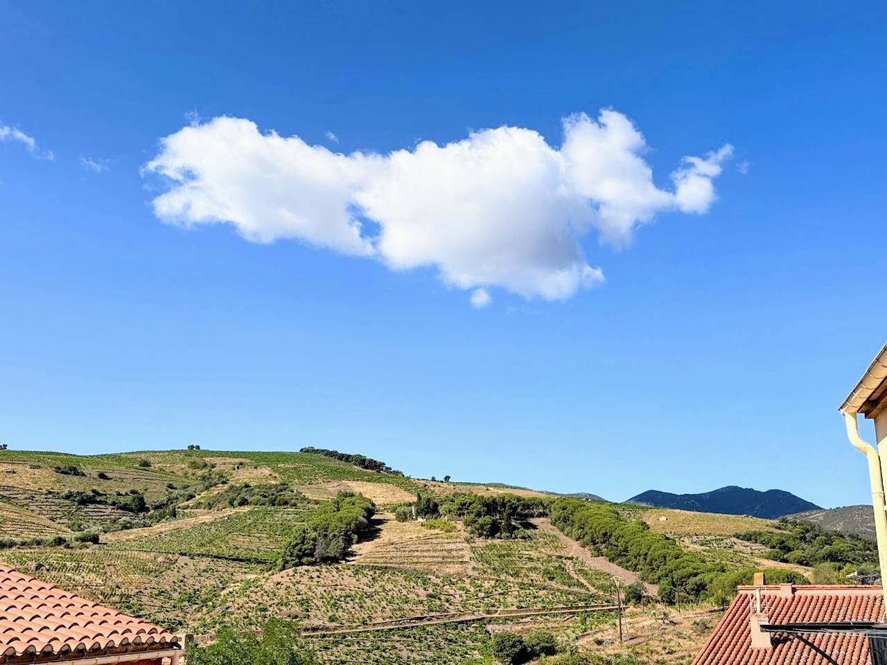 Amplia villa en Banyuls-sur-Mer, 6 personas in La Côte Vermeille, Banyuls-sur-Mer