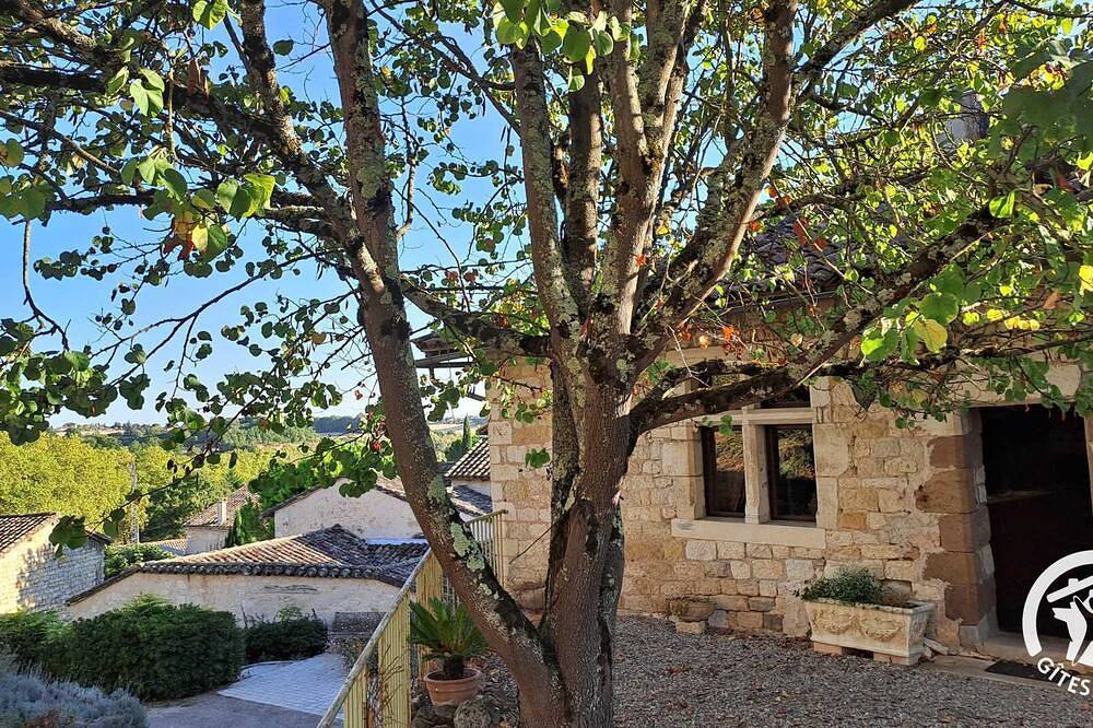 La Vigneronne - Cestayrols in Cestayrols, Région d'Albi