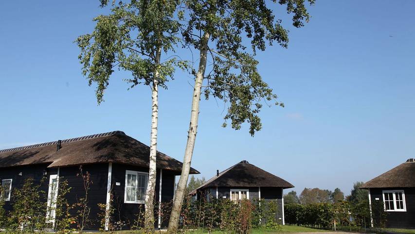 Chalet voor 6 personen, met tuin in Twente