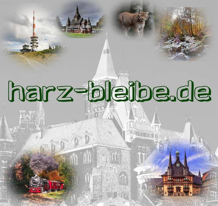 Ferienwohnung für 3 Personen, mit Terrasse und Ausblick in Schloss Wernigerode