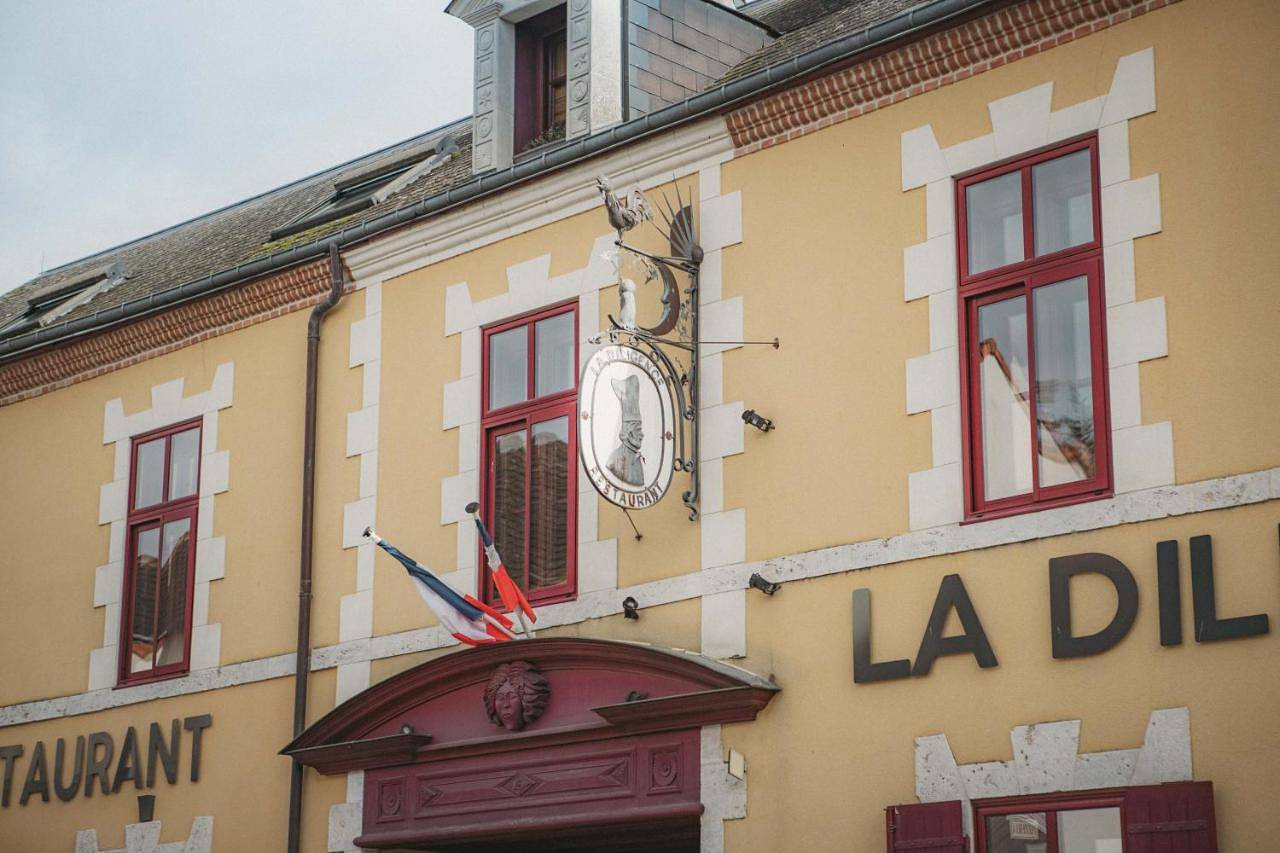 Logis Hotel La Diligence in La Ferté-Saint-Cyr, Sologne