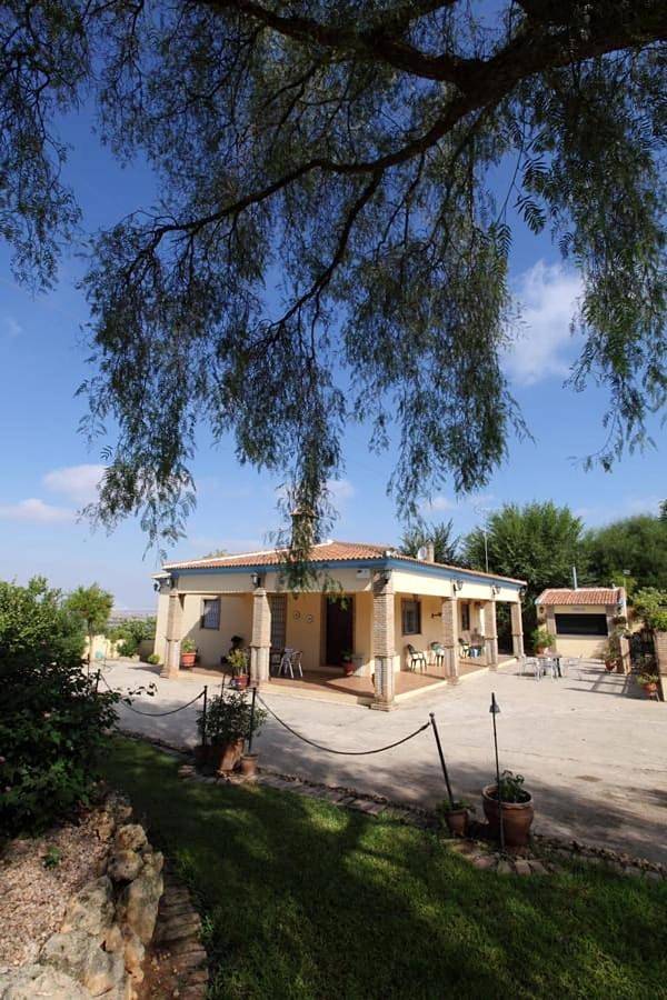 Casa rural para 10 personas, con Terraza además de Jardín y Piscina en Sanlúcar la Mayor - 3
