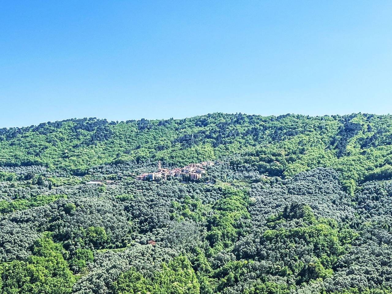 Ganze Wohnung, Gabri - Gabri 676.1 in Pietrabruna, Riviera di Ponente