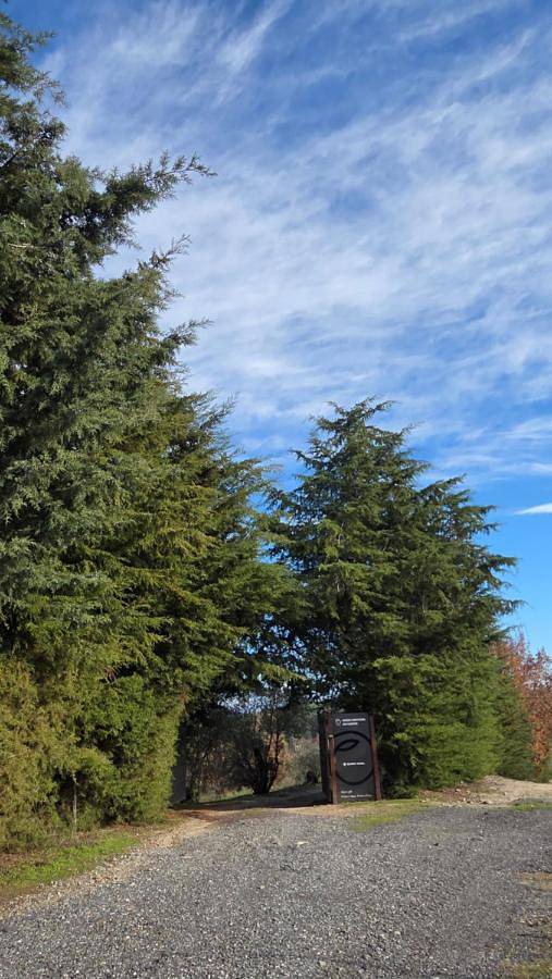 Casa de férias para 9 pessoas, com vista e piscina e ainda jardim and vista para o lago, com animais de estimação em Covilhã