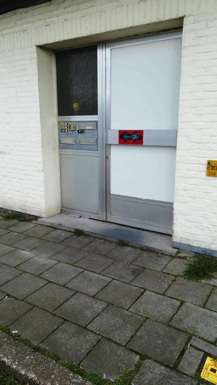 Gîte pour 5 personnes, avec terrasse à Termonde - 2