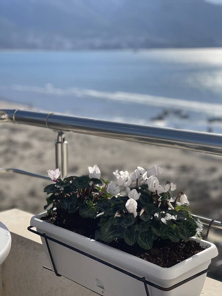Gîte pour 6 personnes, avec balcon et vue en Albanie - 2