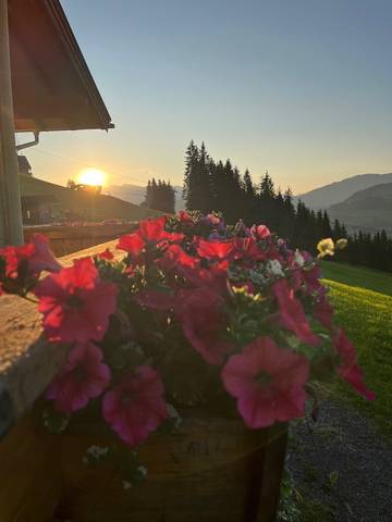 Bauernhof für 2 Personen in Wagrain, Pinzgau-Pongau, Bild 3