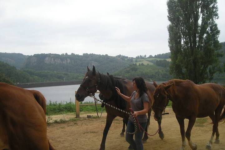 Chalet pour 4 personnes, avec jardin dans le Tarn - 3