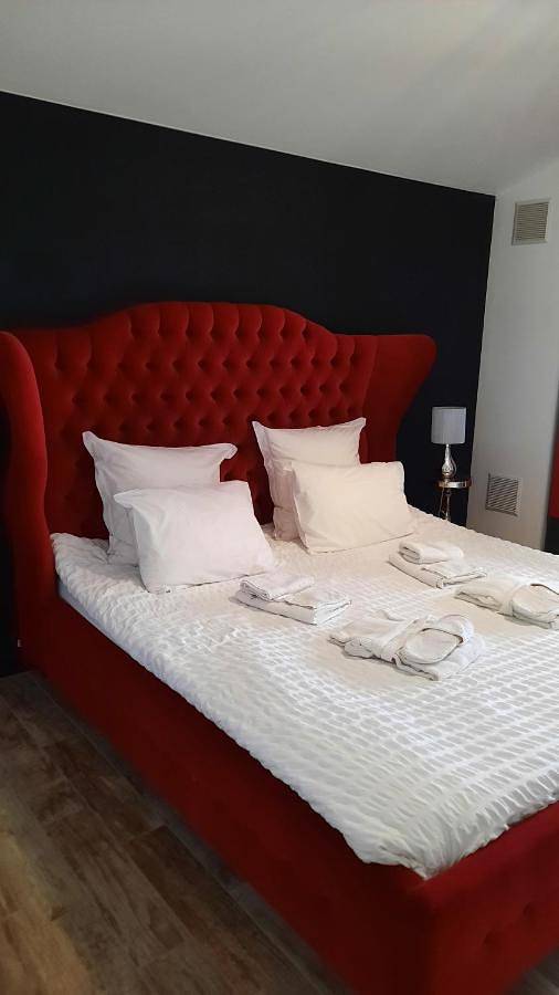 Location de vacances pour 14 personnes, avec jacuzzi ainsi que balcon et sauna à Sanilhac - 4