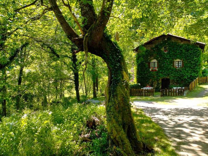 Casa rural para 8 personas, con jardín y vistas, Se admiten mascotas en Cinco Villas (Navarra)