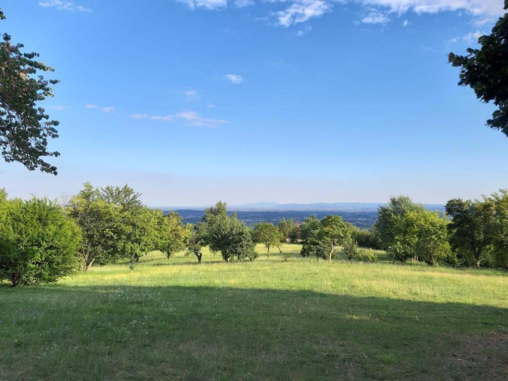 Villa Tugurio. La tua casa immersa nel verde in Zugliano, Province de Vicenza