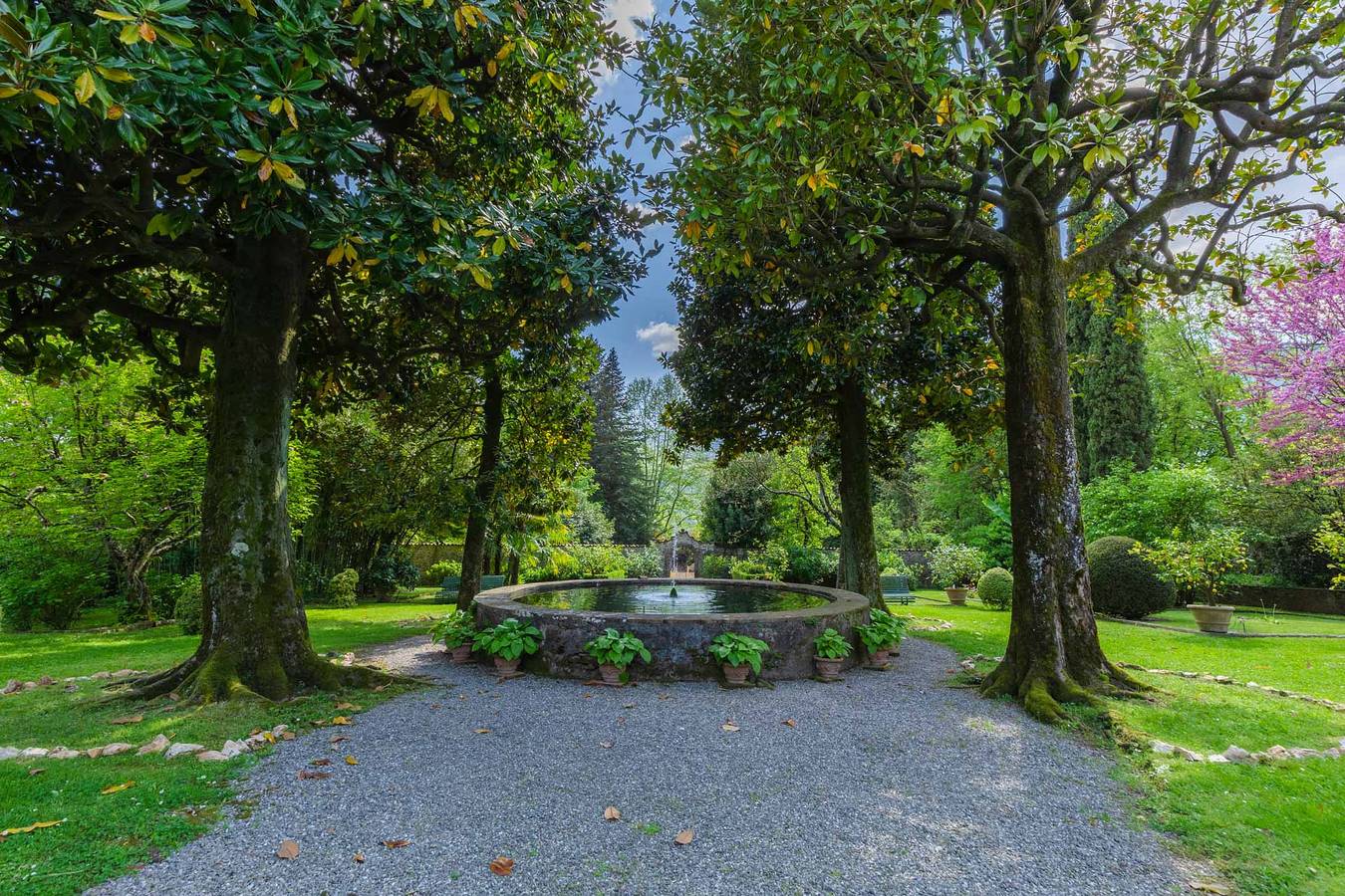 Ganze Wohnung, Casa Cassettari Apartment with Garden in Coreglia Antelminelli, Parco Regionale delle Alpi Apuane