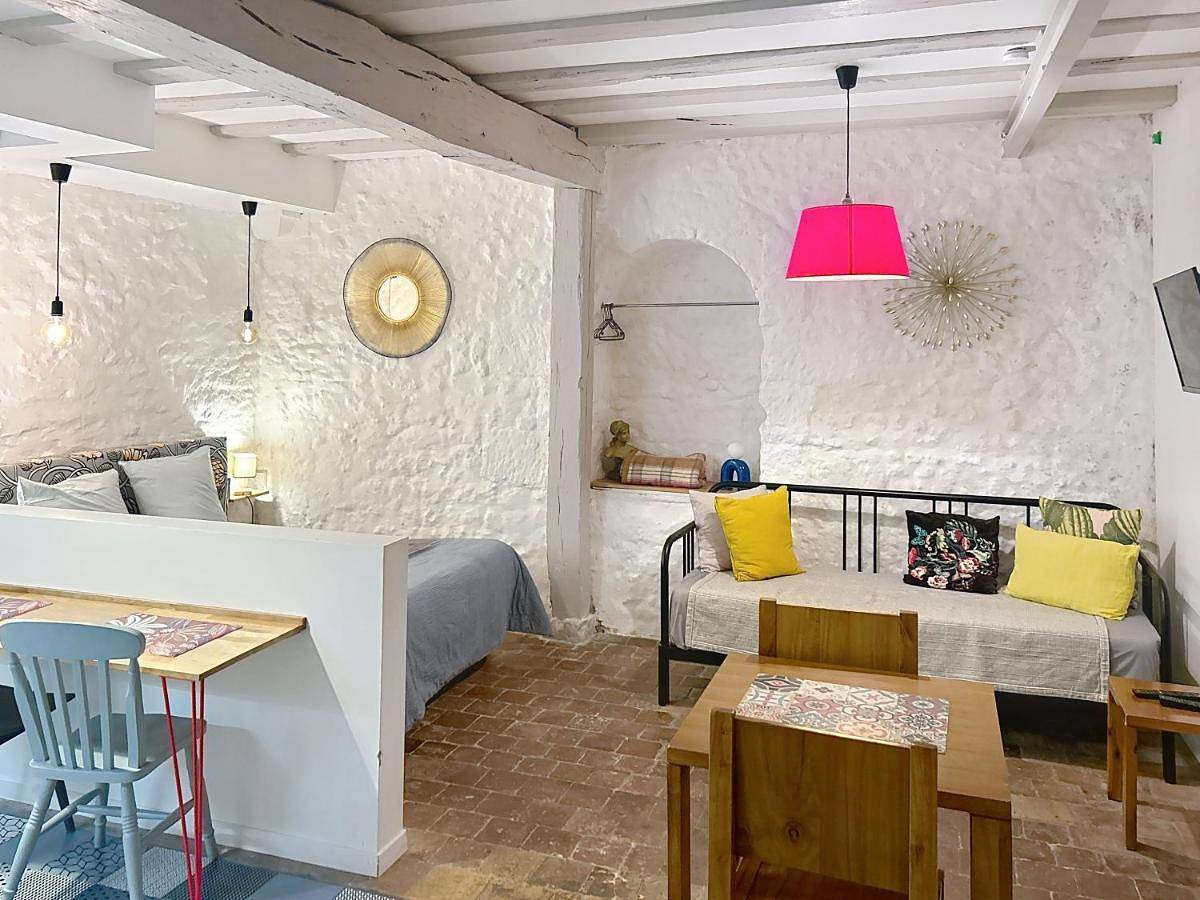 Appartement entier, Appartement spacieux avec une vue sur Tours ( 38m²) -Gite de Bellevue in Tours, Région de Tours