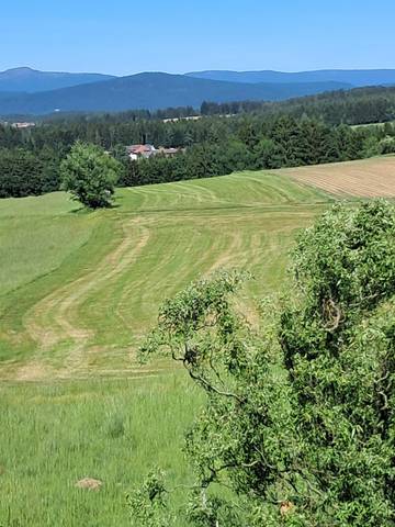 Ferienhaus für 4 Personen in Bischofsmais, Vorderer Bayerischer Wald, Bild 3