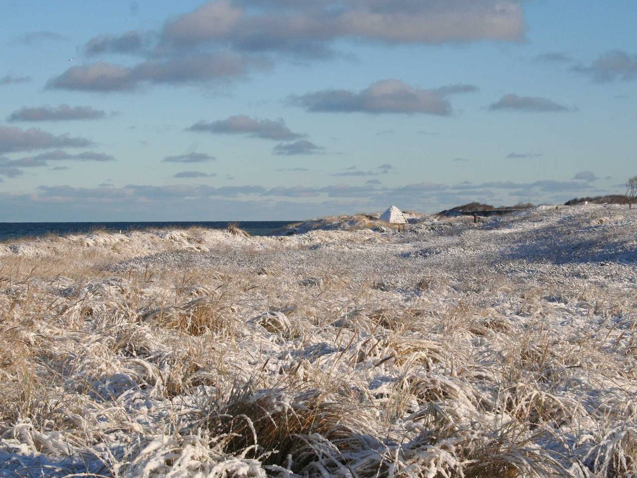 Ganze Ferienwohnung, Ferienhaus Ankerplatz 2 - Ferienhaus Ankerplatz 2 in Dierhagen Ost, Dierhagen