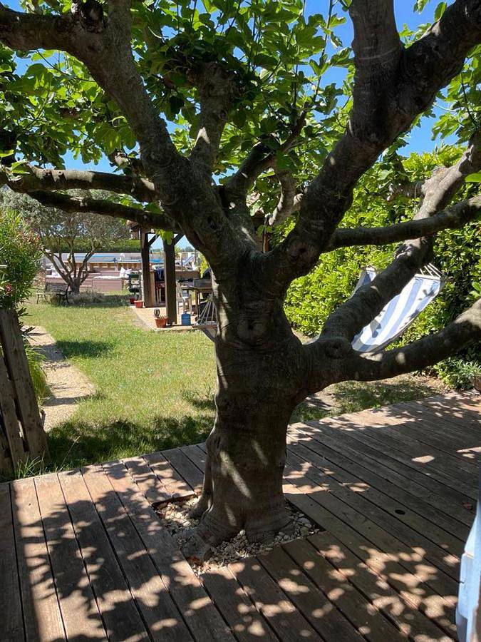 Location de vacances pour 2 personnes, avec terrasse et jardin ainsi que piscine et vue à Montagnac-Montpezat - 2