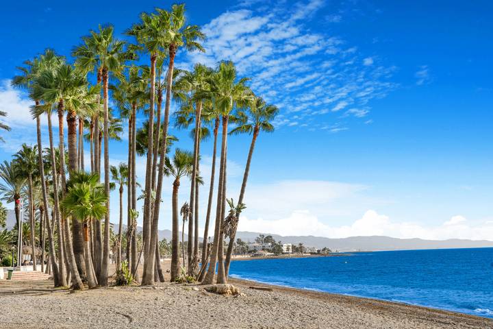 Gîte pour 4 personnes, avec balcon ainsi que jardin et piscine à San Pedro Alcantara - 4