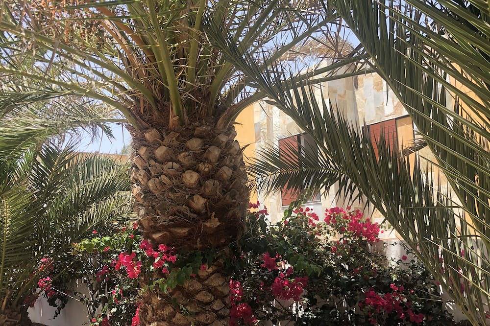 Entire apartment, Apartment \"Smile\" nice in Fuerteventura in Costa de Antigua, Antigua