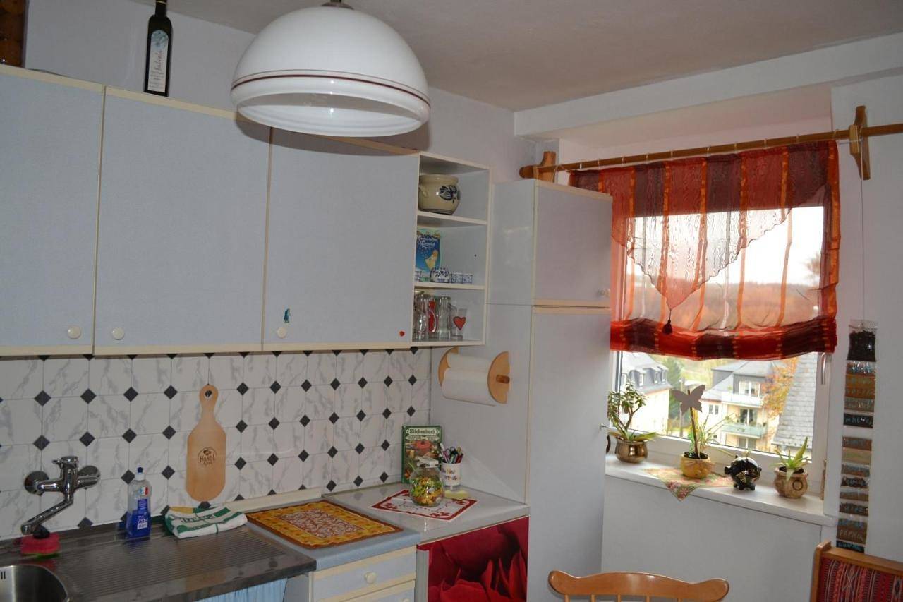 Ganze Wohnung, Haus "Tabor" in Bad Schlema, Erzgebirge