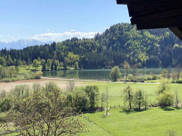 Ganze Ferienwohnung, Apartment Alpenblick am Urbansee in Sankt Urban, Mittelkärnten