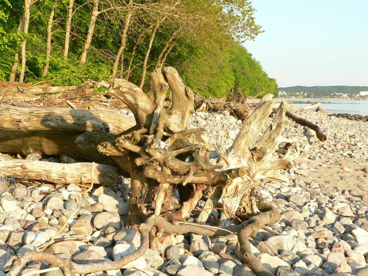 Ganze Ferienwohnung, Appartement / Fewo in Binz in Binz, Rügen