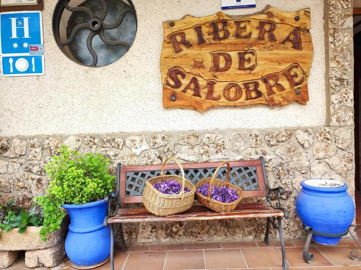 Casa de huéspuedes para 1 personas - 1