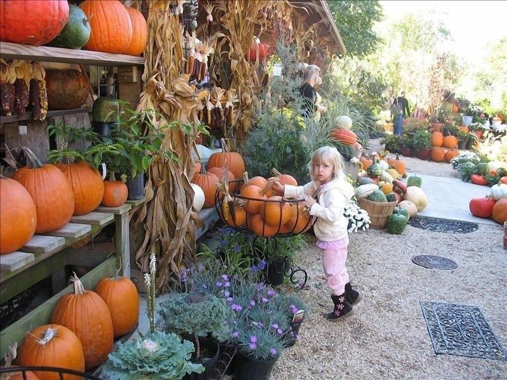 Zu Fuß zu Wanderwegen, Skipisten, Festivals, Restaurants und anderen Veranstaltungen in Wintergreen, Nelson County