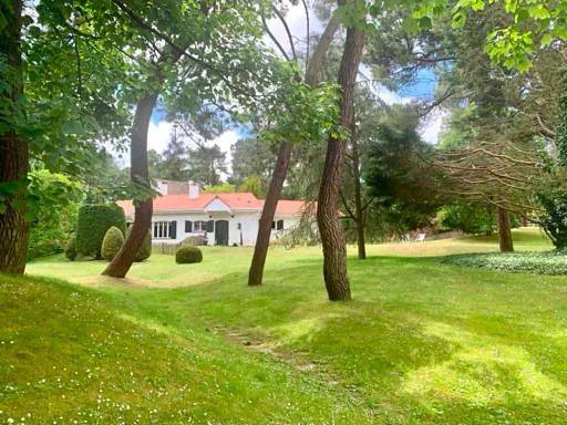 Maison d’hôte pour 2 personnes, avec terrasse ainsi que vue et jardin au Touquet-Paris-Plage - 2